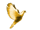 sticker_24841927_39079960