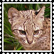 sticker_15290305_34275713