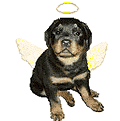 sticker_13766813_28879780