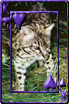 sticker_6195420_40766208