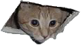 sticker_24901529_39938307