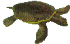 sticker_16944802_39607189