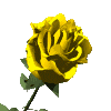 sticker_6135606_38448298