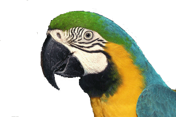 sticker_20857614_29939355