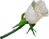 sticker_10742417_15456562