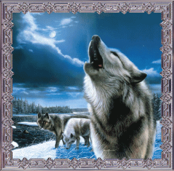 sticker_2834745_21243173