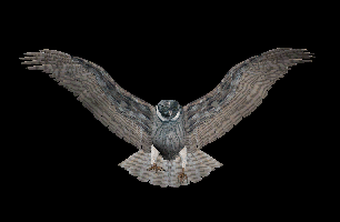 sticker_24286434_39826835