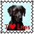 sticker_4734827_44164899