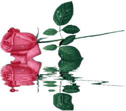 sticker_2915983_17358413