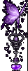 fairy butterfly