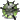 Virulent