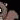 Living Dead Squirrel 2