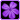 spring flower