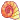 ::: Seashell :::