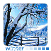 Inescia My - Super Bling 100x100 Holidays/Seasons