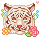 Sierra The Tiger
