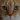 catgorl