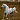 Horse Lover